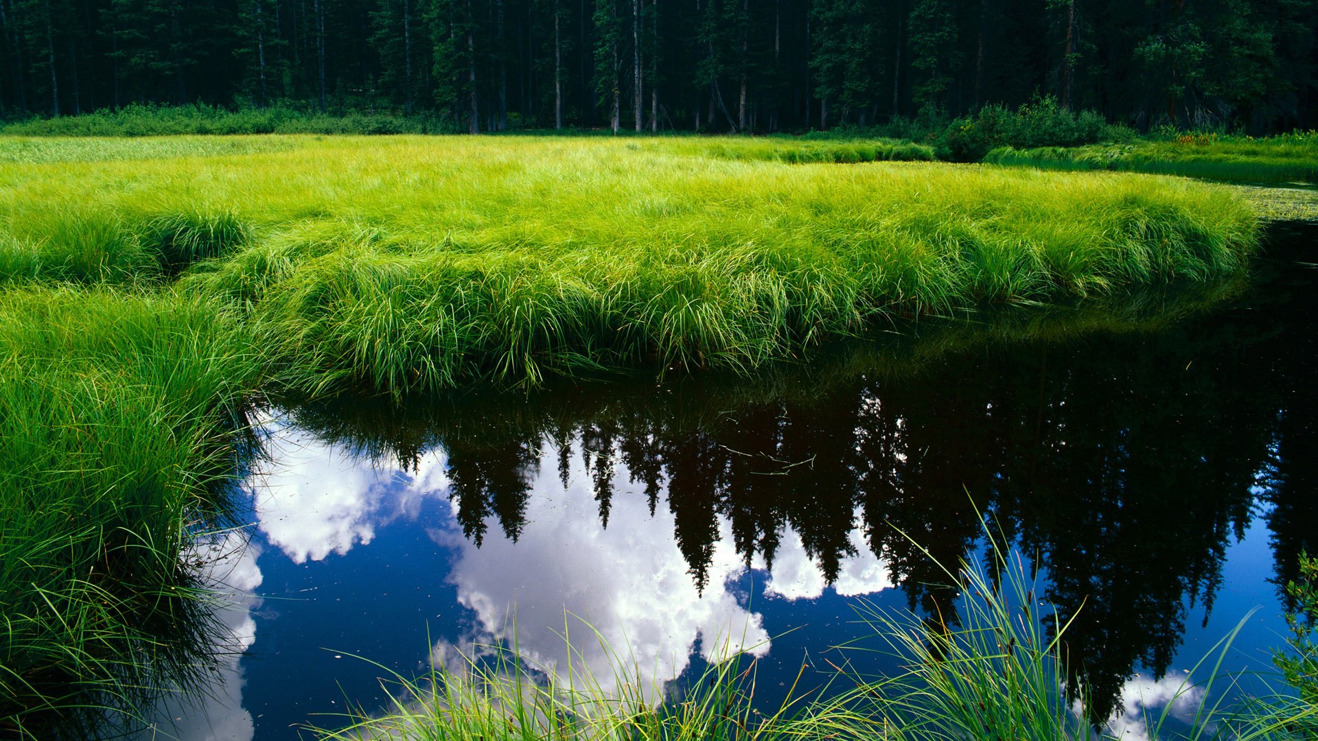 开云体育APP下载-跨界之巅，拉齐奥欧冠淘汰赛3-1击溃克罗地亚国家队，莱万上演高能输出帽子戏法