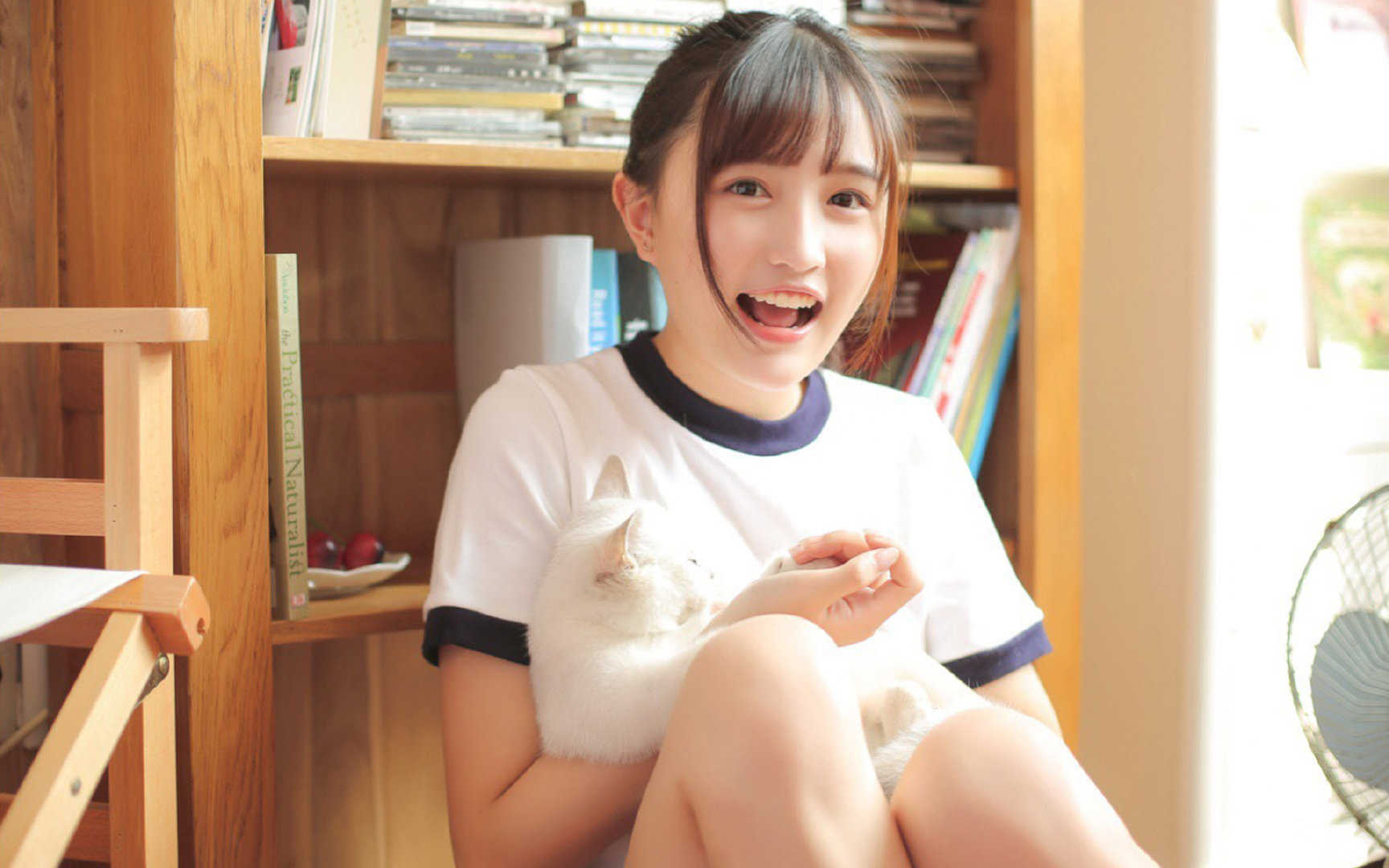 沙漠雄狮的钢铁防线,伊拉克战术压制瑞士启示录