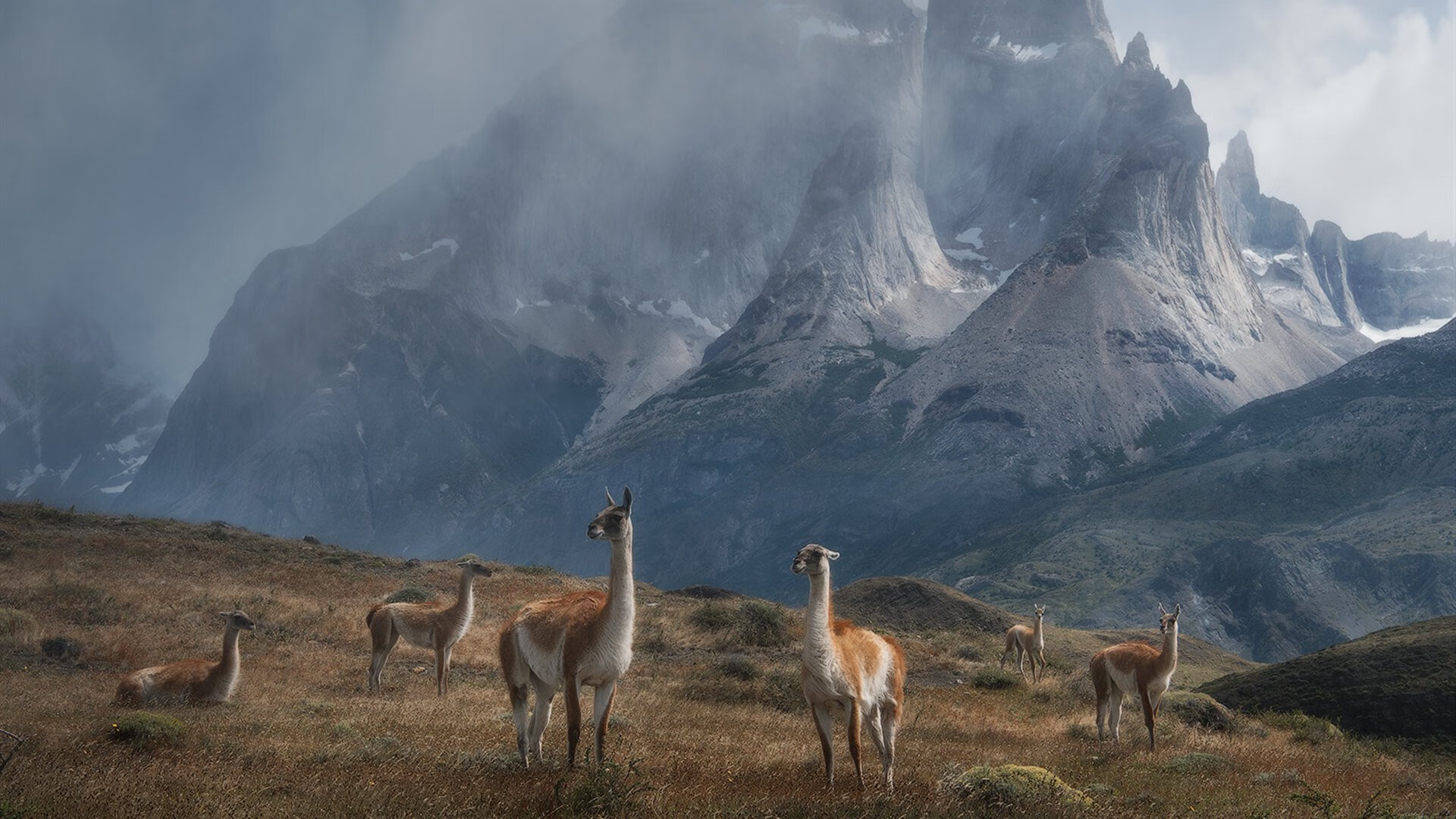 欧冠四分之一决赛次回合,穆勒致命一击,那不勒斯的铁血压制让切尔西无路可退