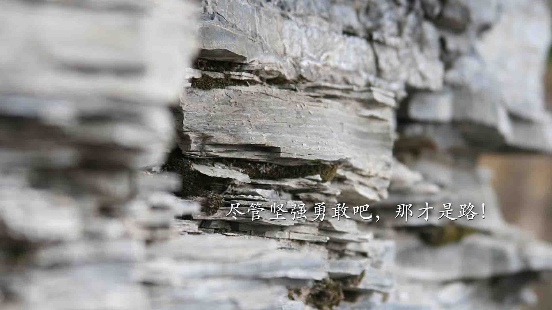 开云体育入口-欧冠半决赛焦点战，多特蒙德淘汰韩国势力，挺进决赛的战术与精神胜利