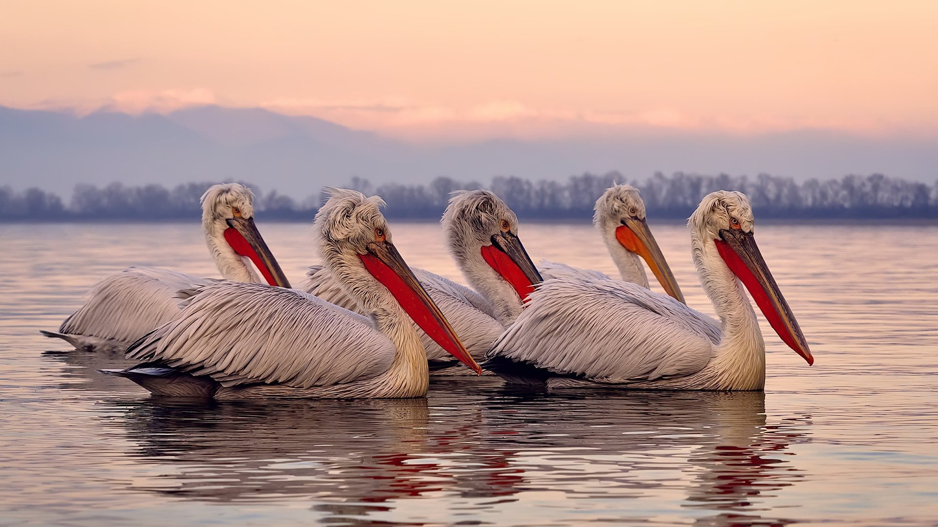 唯一性的诠释,快船加时鏖战胜太阳,西决生死战铸就经典