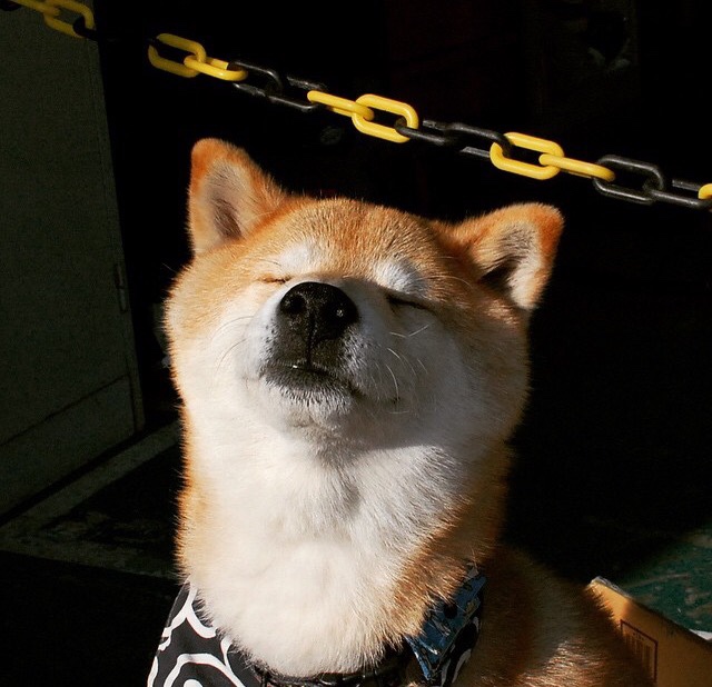 生死两种颜色,命运一道弧线—当加纳黑星刺破巴拉圭蓝白,欧冠的悬念静候终极回响