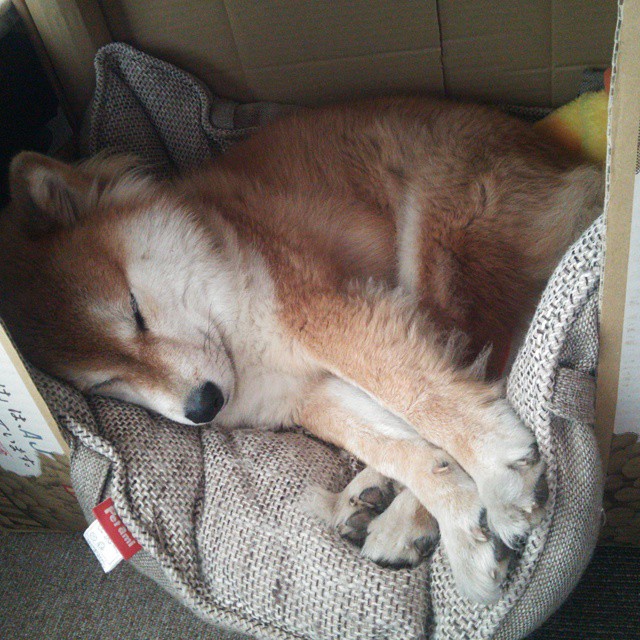 末节之王降临红牛主场，久保建英友谊赛起义助莱比锡狂扫瑞典