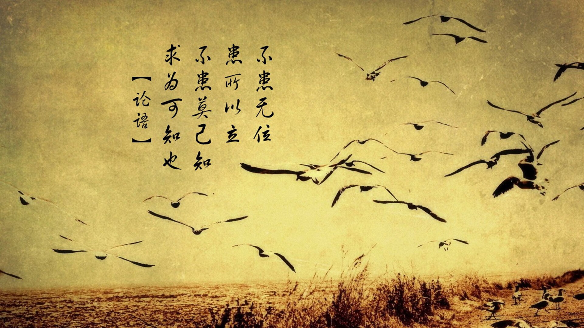 霍勒迪谢幕布鲁克林，当大舞台的聚光灯，照进开拓者的重建蓝图