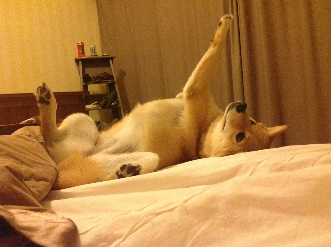 开云体育官网-逆转之夜，2026世界杯G组唯一生死战，登贝莱导演挪威史诗翻盘瑞典