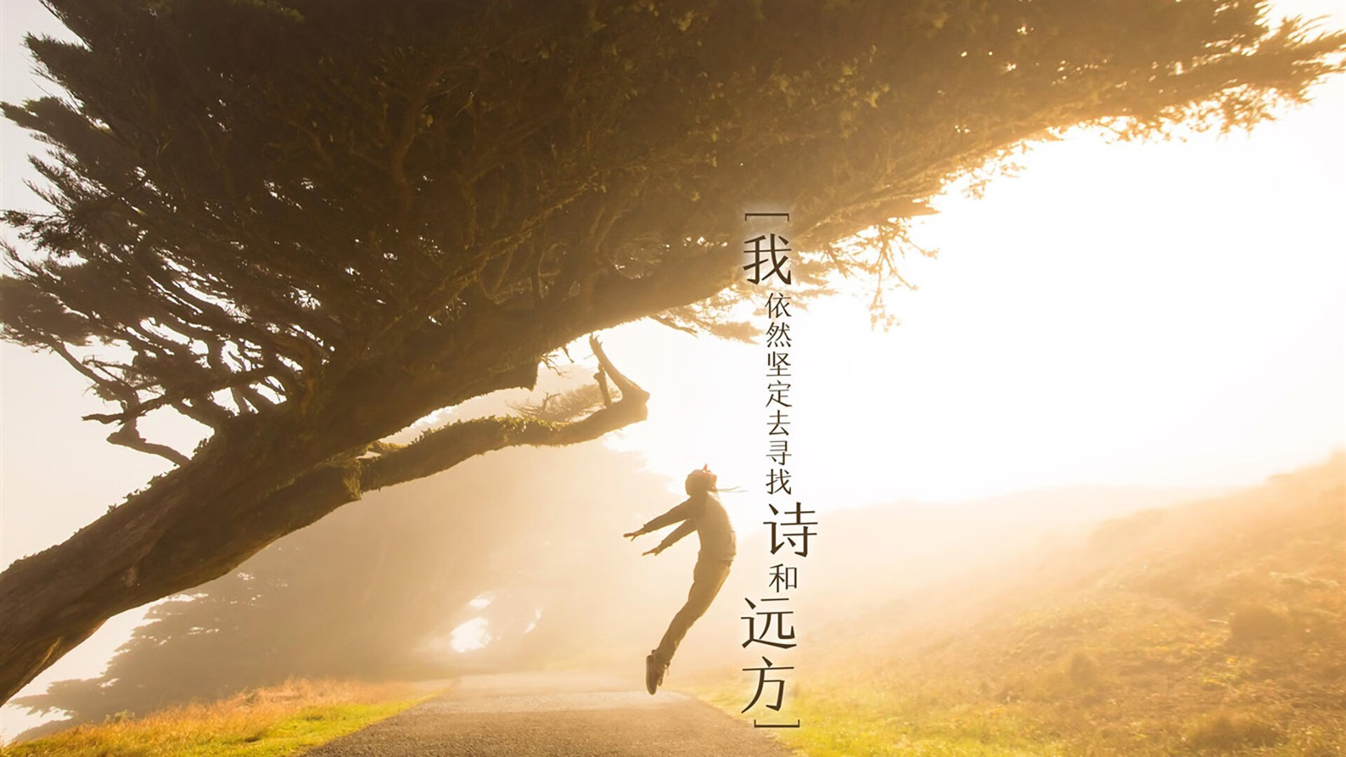 冰与火之歌,2026世界杯E组关键战,波兰绝杀摩洛哥,哈兰德用北欧铁蹄踏碎非洲雄狮的逆转绝唱