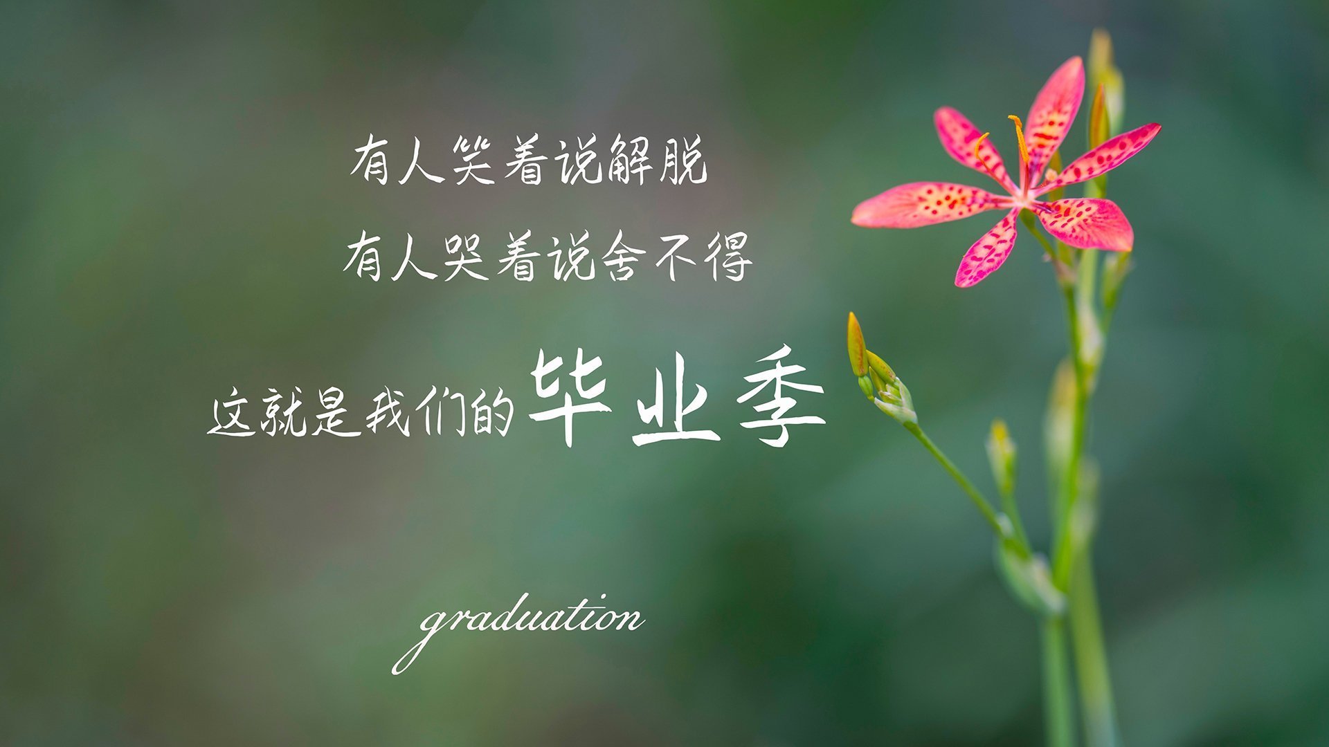 B组生死局,齐耶赫的隐形手术刀—葡萄牙临场变阵瓦解日本,死亡之组唯一悬念