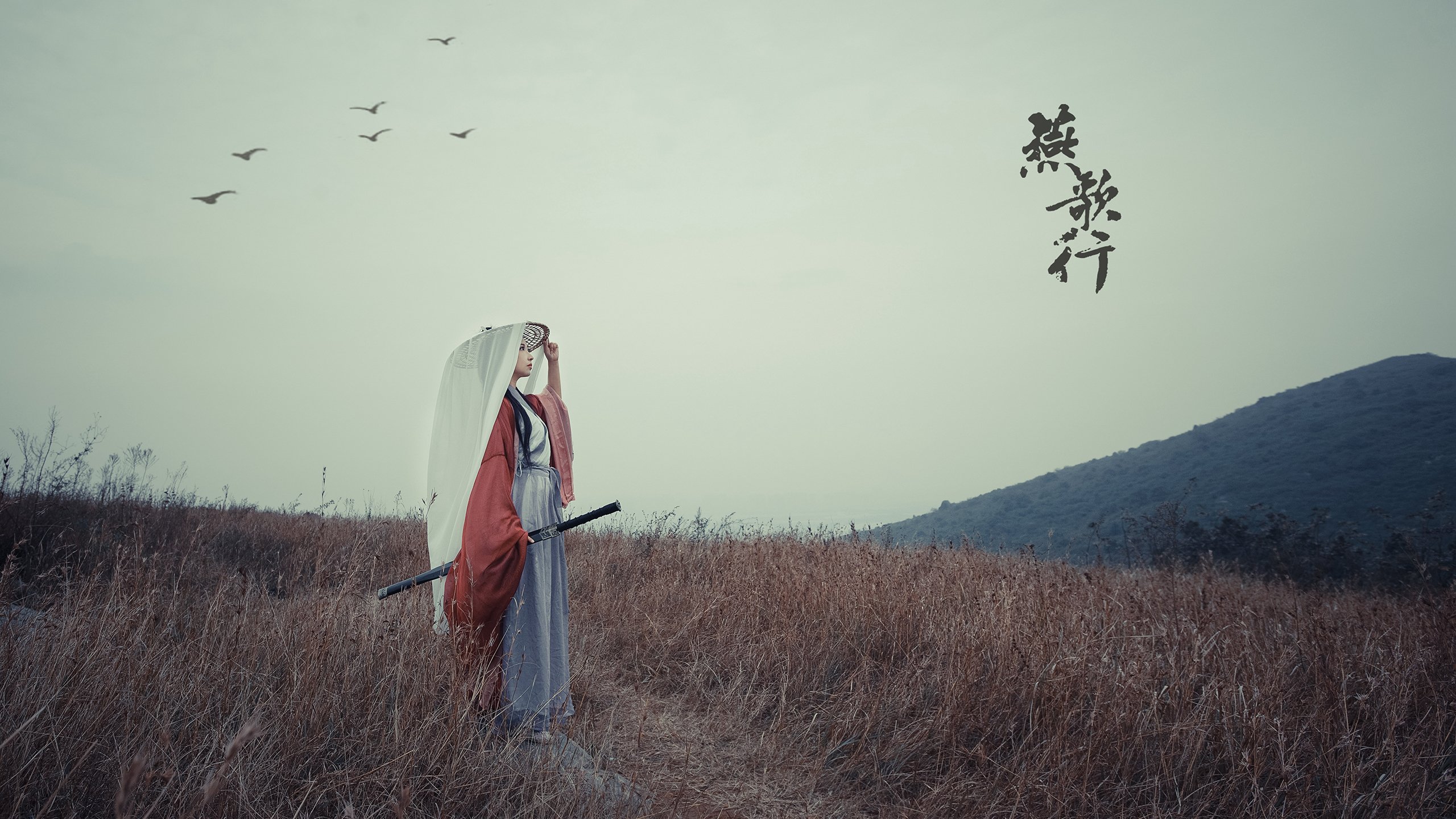 一个人的战争,当右翼之魂点燃整个国家—坎塞洛在卡塔尔的救赎与葡萄牙的险胜