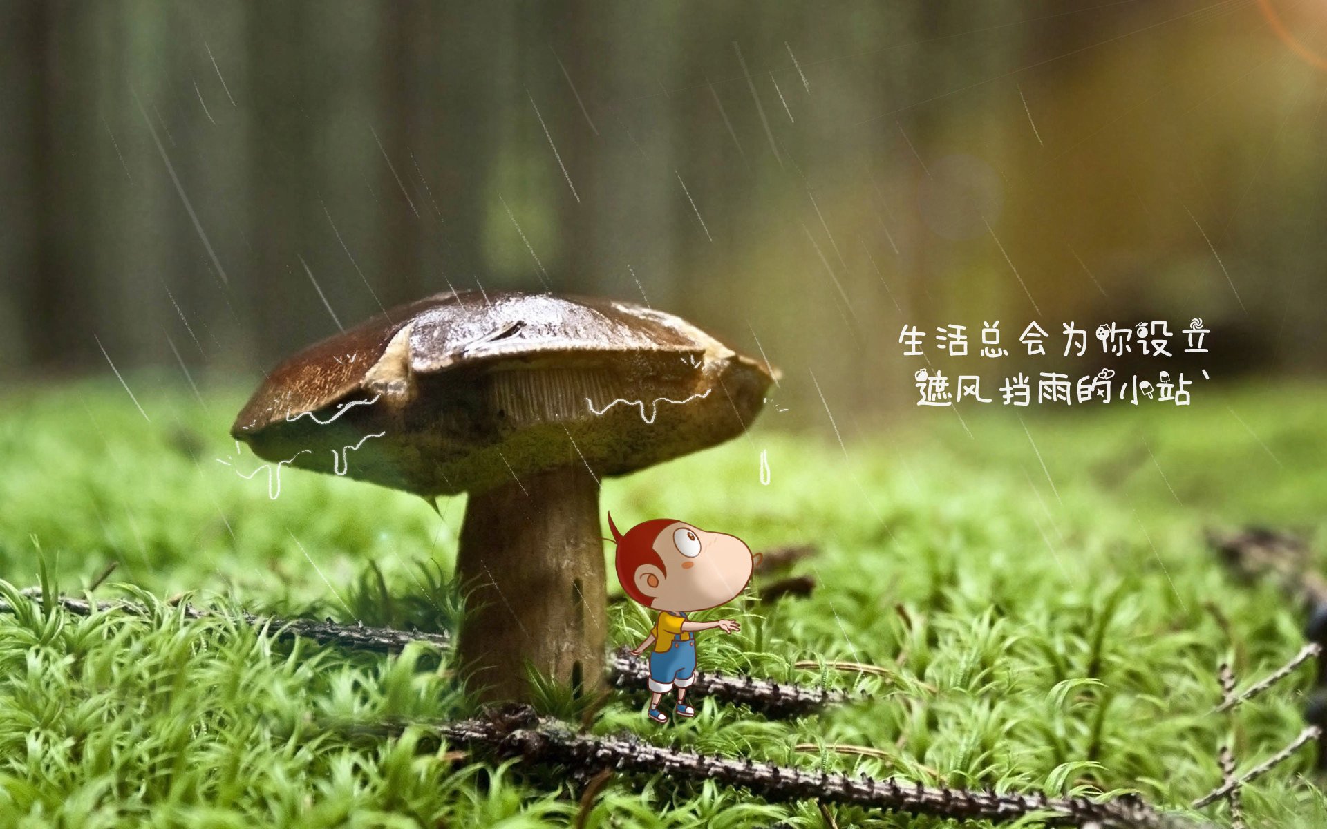 开云体育中国-首先，我们为这场史诗级的战役拟定一个标题